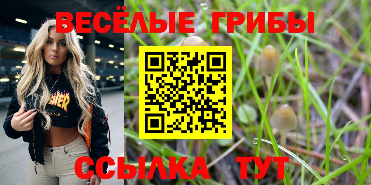 Галлюциногенные грибы прущие грибы Кимовск