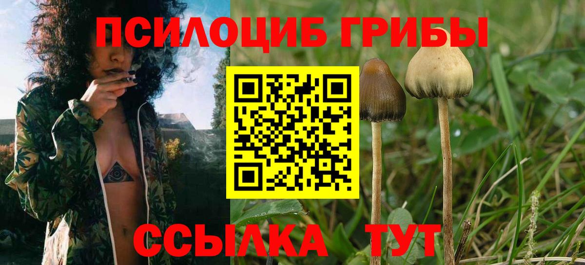 Галлюциногенные грибы прущие грибы  Вход с VPN  Кимовск  Галлюциногенные грибы GOLDEN TEACHER 
